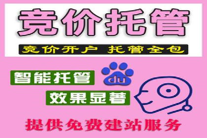 案例解析：SEM托管代运营助力企业转型